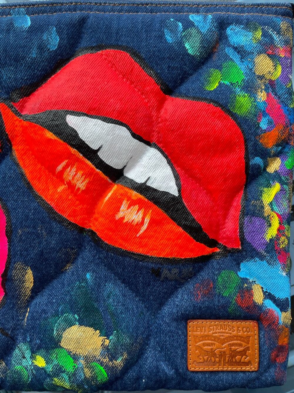 Hand-Painted Lap Top Case